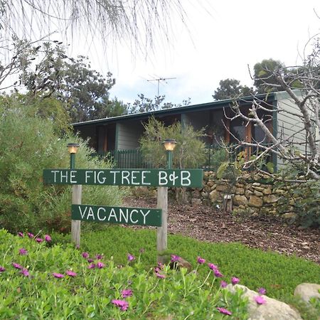 The Fig Tree B&B Baudin Beach Екстер'єр фото