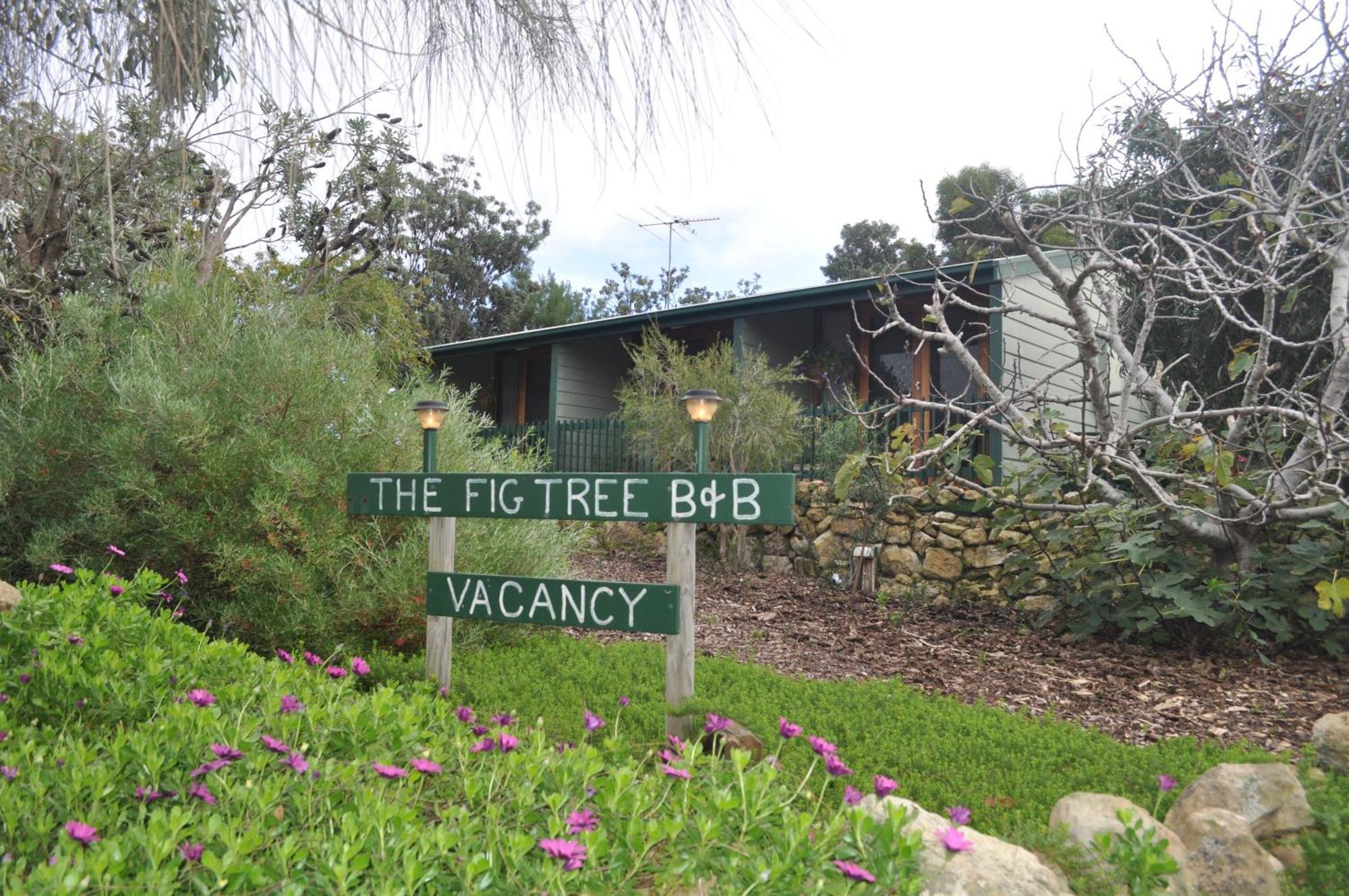 The Fig Tree B&B Baudin Beach Екстер'єр фото